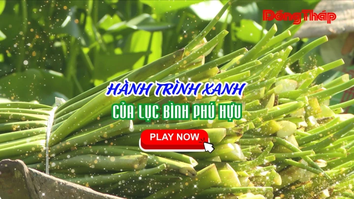 HÀNH TRÌNH XANH CỦA LỤC BÌNH PHÚ HỰU