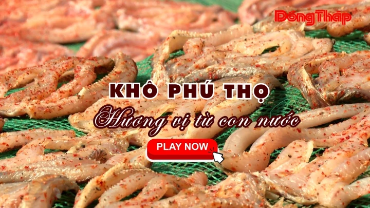 KHÔ PHÚ THỌ - HƯƠNG VỊ TỪ CON NƯỚC