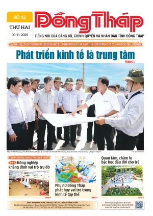 Số 42 ngày 3/11/2025
