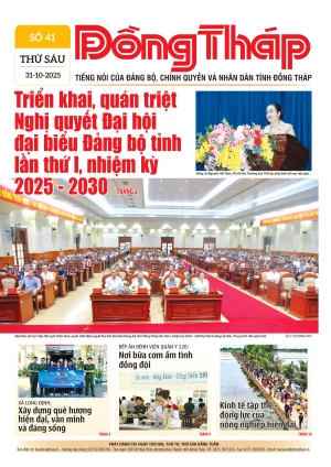 Số 41 ngày 31/10/2025