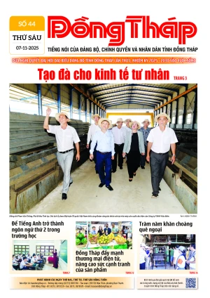 Số 44 ngày 7/11/2025
