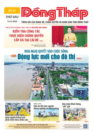Số 47 ngày 14/11/2025