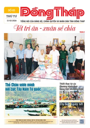 Số 85 ngày 11/02/2026