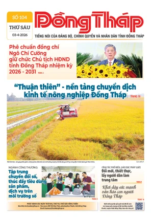 Số 104 ngày 03/04/2026