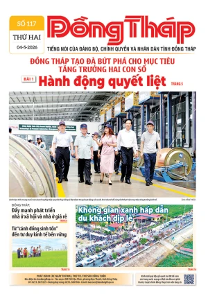 Số 117 ngày 04/05/2026
