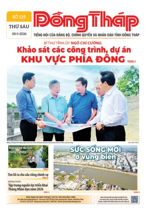 Số 119 ngày 08/05/2026