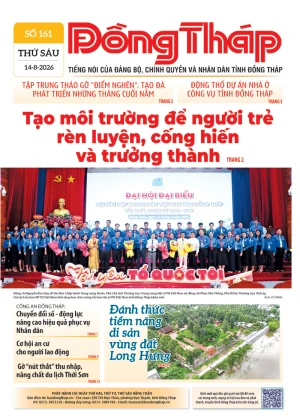 Số 161 ngày 14/08/2026