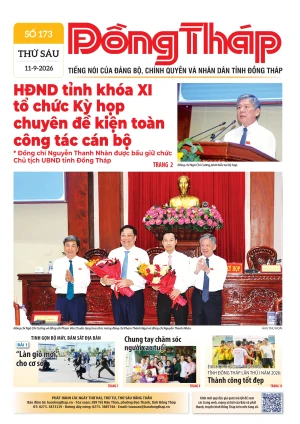 Số 173 ngày 11/09/2026
