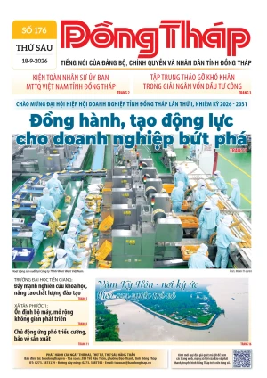 Số 176 ngày 18/09/2026