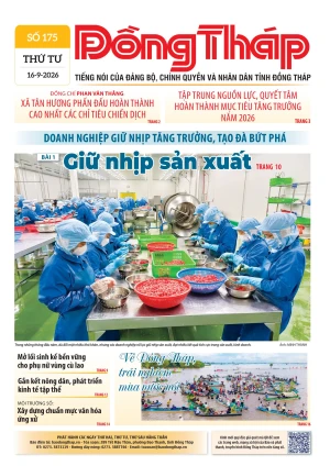 Số 175 ngày 16/09/2026