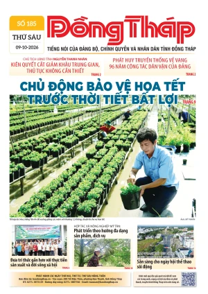 Số 185 ngày 09/10/2026