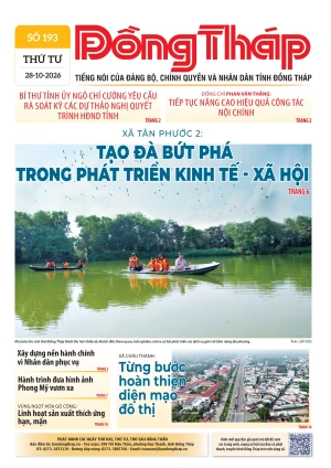 Số 193 ngày 28/10/2026
