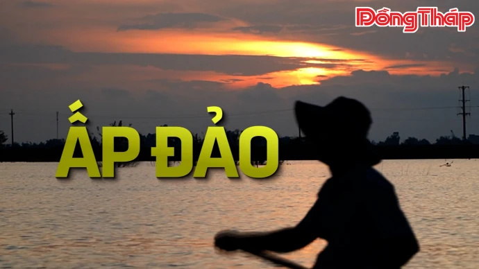 Ấp đảo - Đất thảo"