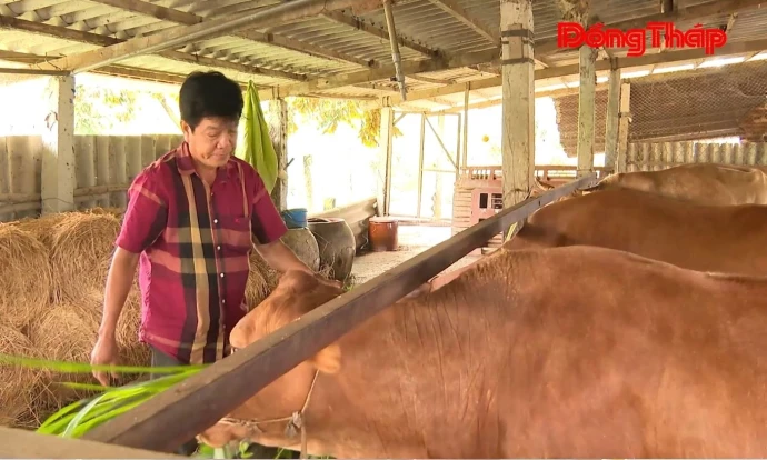 Xã Mỹ Tịnh An: Đa dạng hóa các mô hình giảm nghèo