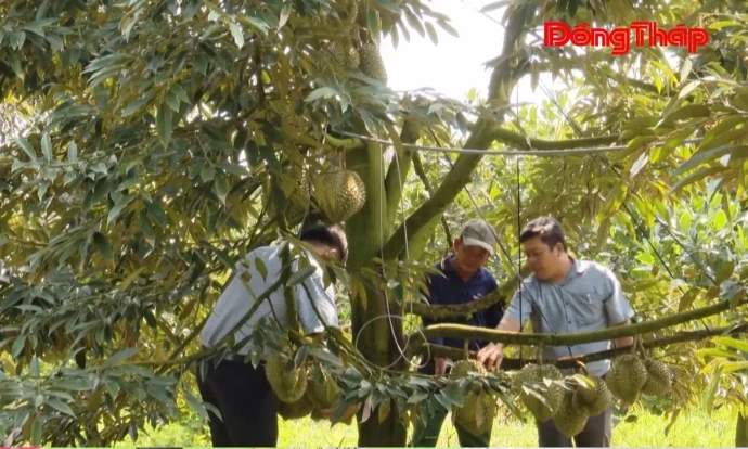 Xã Mỹ Thiện có 3 sản phẩm Ocop