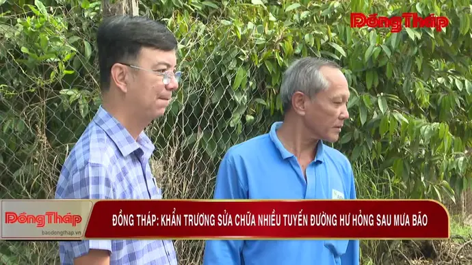 Đồng Tháp: Khẩn trương sửa chữa nhiều tuyến đường hư hỏng sau mưa bão