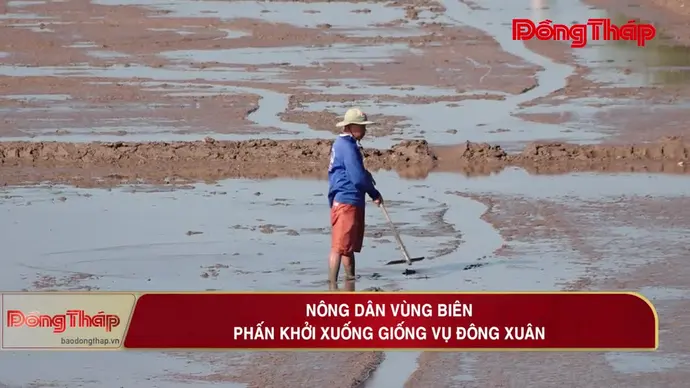 Nước lũ rút, phù sa bồi đắp, bà con nơi đây, đã bắt tay xuống giống lúa đông xuân