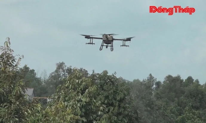 trangdiaphuong, mythien, nongnghiep, DongThap