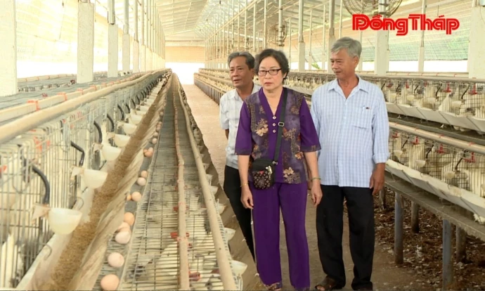 Xã Châu Thành: Vietgap nâng tầm sản xuất nông nghiệp