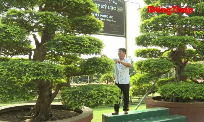 Sẵn sàng cho Festival Hoa  - Kiểng Sa Đéc lần thứ II năm 2025