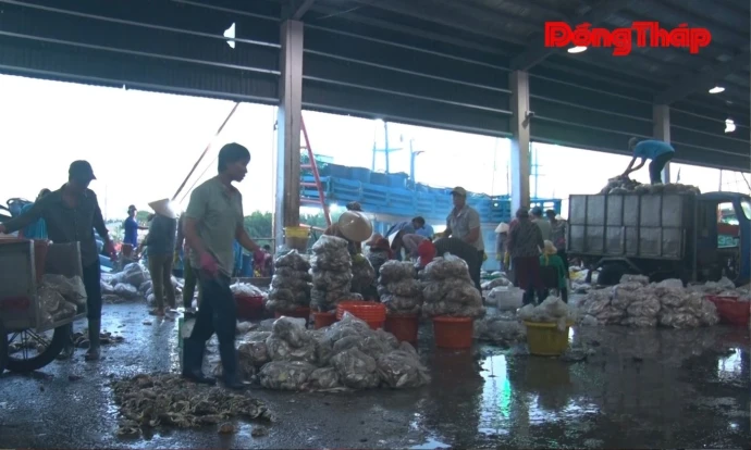 Gia Thuận vươn mình từ kinh tế biển