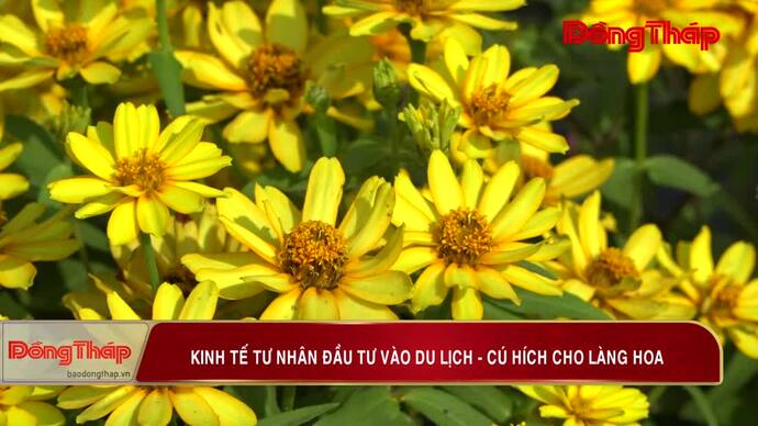 Kinh tế tư nhân đầu tư vào du lịch - cú hích cho làng hoa