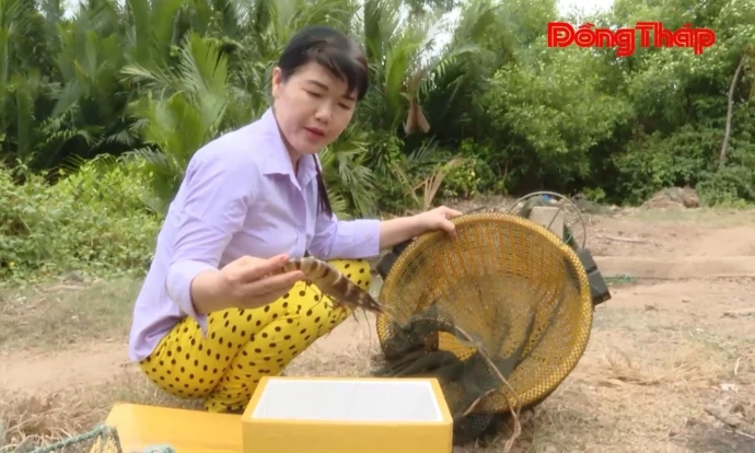 Nông dân Tân Phú Đông phát triển nghề nuôi tôm quảng canh