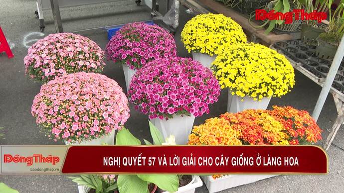 Nghị quyết 57 và lời giải cho cây giống ở làng hoa