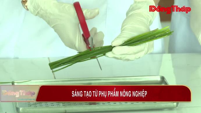 Sáng tạo từ phụ phẩm nông nghiệp