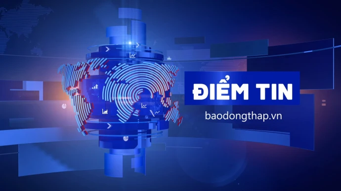 thời sự, đồng tháp, thông tin trong tỉnh