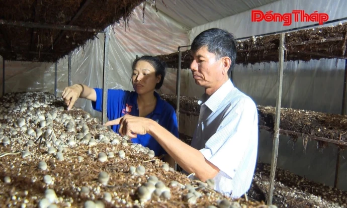 Tân Hồng: Nhiều mô hình phát triển kinh tế hiệu quả