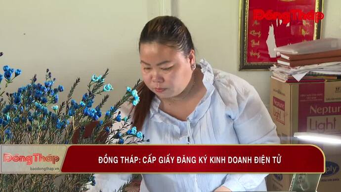 Đồng Tháp: Cấp giấy đăng ký kinh doanh điện tử