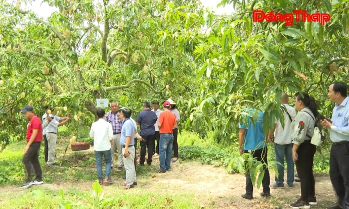 trangdiaphuong, mytho, phattrien, DongThap