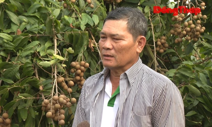 Phú Hựu sẵn sàng cho Lễ hội nông sản lần thứ I năm 2026