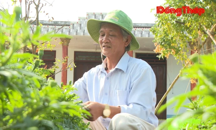 trangdiaphuong, laivung, ntm, DongThap