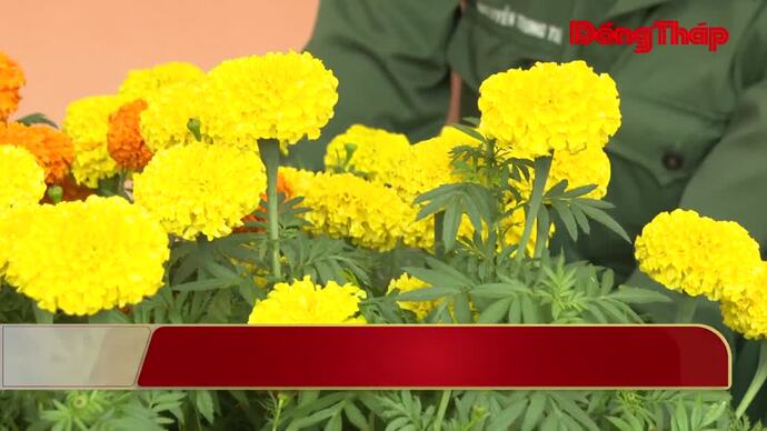 Tết nhưng không quên nhiệm vụ của chiến sĩ biên phòng