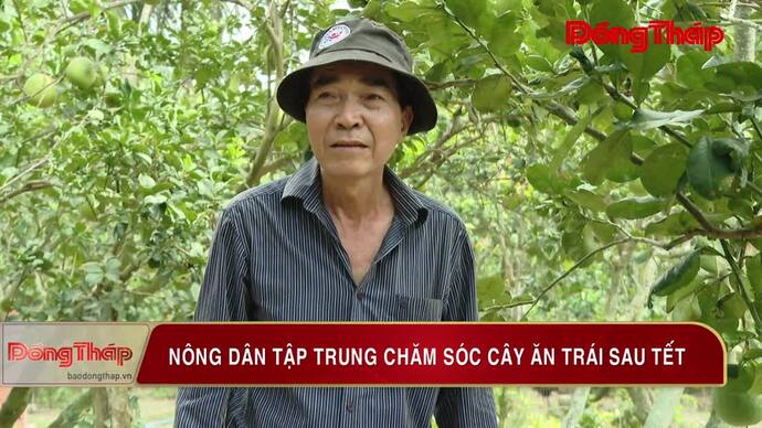 Nông dân tập trung chăm sóc cây ăn trái sau tết