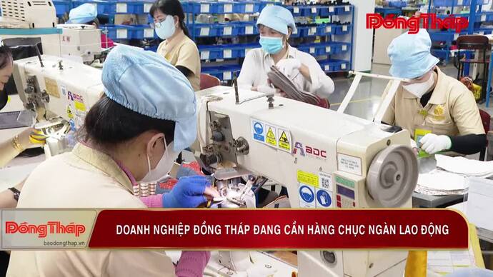 Doanh nghiệp Đồng Tháp đang cần hàng chục ngàn lao động