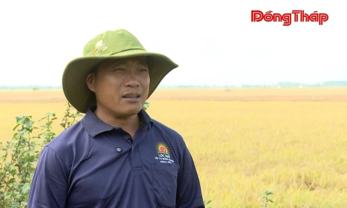 trangdiaphuong, tanhoco, lua, DongThap