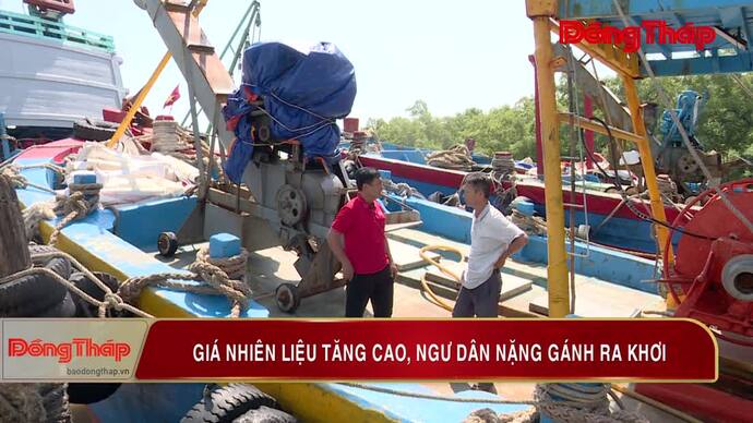 Giá nhiên liệu tăng cao, ngư dân nặng gánh ra khơi