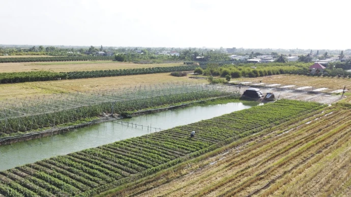 Chủ động từ sớm, Đồng Tháp vững vàng trước hạn, mặn