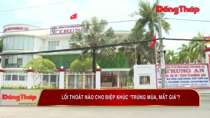 Lối thoát nào cho điệp khúc “trúng mùa, mất giá”?