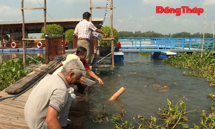 Chung tay giữ cá cho sông