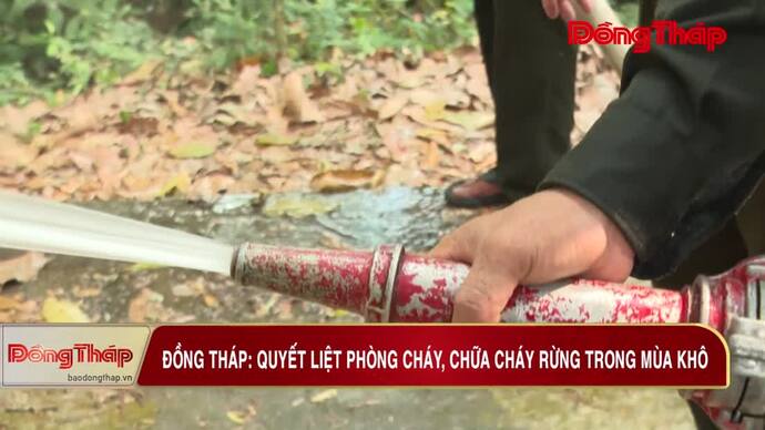 Đồng Tháp: Quyết liệt phòng cháy, chữa cháy rừng trong mùa khô