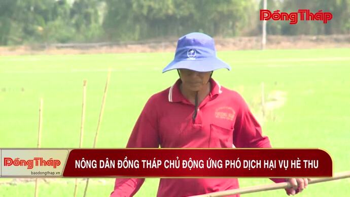 Nông dân Đồng Tháp chủ động ứng phó dịch hại vụ hè thu