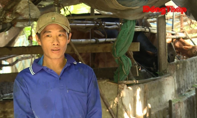 trangdiaphuong, anlong, giamngheo, nuoibo, DongThap