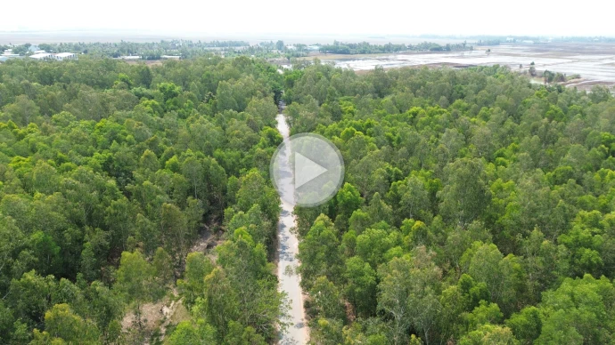 giặc lửa, phòng cháy, chữa cháy, cháy rừng, cháy nổ