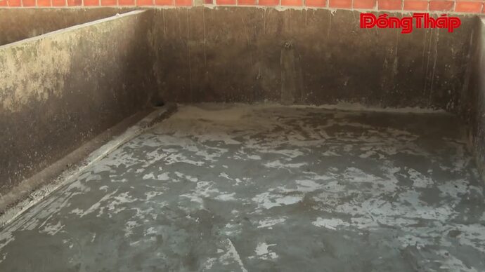 Đồng Tháp: Tăng cường kiểm soát dịch tả heo châu Phi
