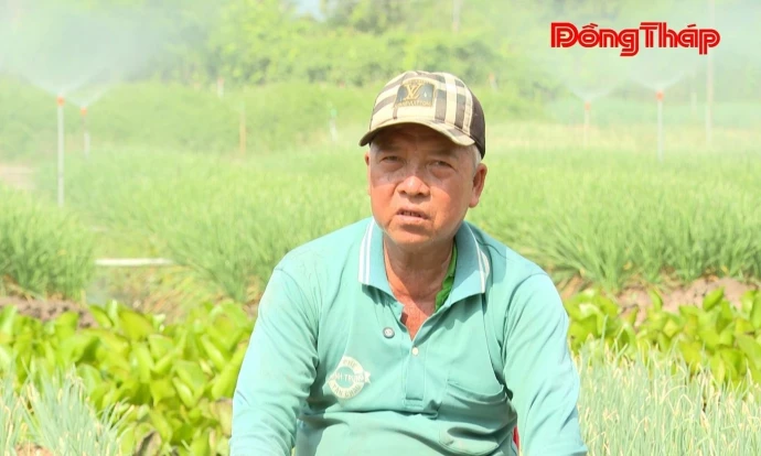 Long Phú Thuận: Tận dụng phụ phẩm, thúc đẩy sản xuất hữu cơ