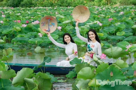 Đồng Tháp: Du lịch xanh “chuyển mình”